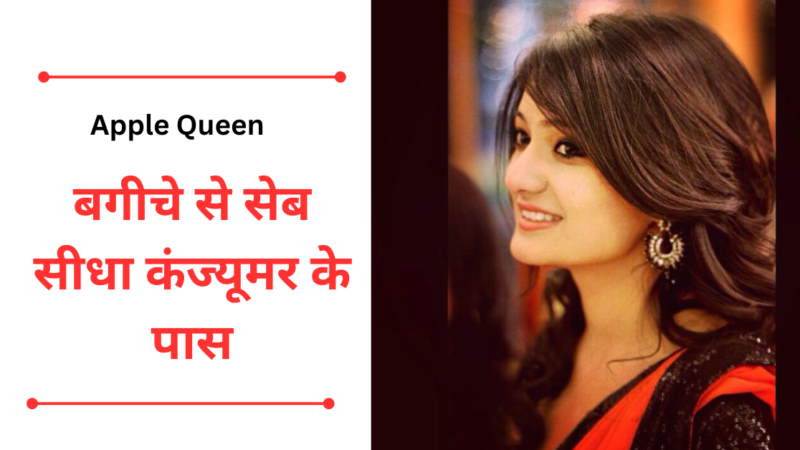 Apple Queen बगीचे से सेब सीधा कंज्यूमर के पास