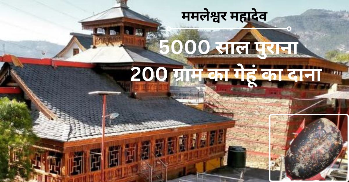 ममलेश्वर महादेव : 5000 साल पुराना 200 ग्राम गेहूं का दाना