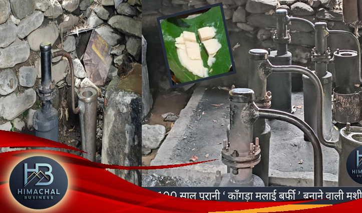 विदेश तक पहुंचेगा कांगड़ा की ‘मलाई बर्फी’ का स्वाद, सदी पुरानी देसी आइसक्रीम को दुनिया देगी दाद