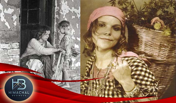 द हैश क्वीन : एम्स्टर्डम की मिला जैनसन ने मनाली में सीखी थी भांग से चरस बनाने की तकनीक, पोलिनेटर के आविष्कार ने बादल दी पूरी हैश इंडस्ट्री