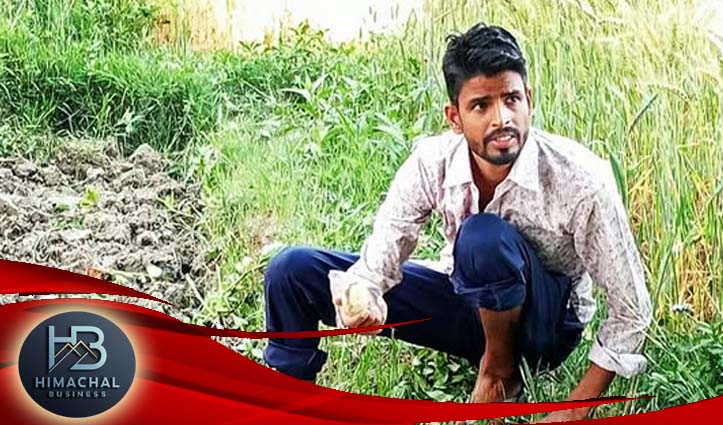 आलू से कैसे बने सोना : उम्मीद से कम पैदावार, फूड प्रोसेसिंग की दरकार