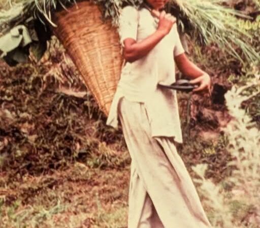 पढ़िये कैसे कुल्लू की शांत वादियों ने बीमार और कमजोर कनाडाई युवती में पैदा की थी जीने की तरंग? 45 साल बाद फेसबुक पोस्ट से ताज़ा हुई यादें