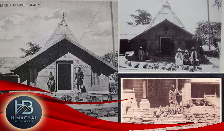 अंग्रेजों के राज में भी असली ‘स्ट्रीट सुपरस्टार’ थे शिमला के बंदर