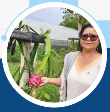 रासायन-मुक्त खेती से स्वास्थ्य का संकल्प: ‘एग्रीवा नैचुरली’ की हरित सफलता कहानी