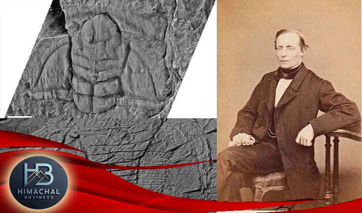 50 करोड़ साल पहले उथले समंदर के नीचे था स्पीति का इलाका, जीवाश्म की खोज ने अंतरराष्ट्रीय भूवैज्ञानिक मानचित्र पर दिलाई स्पीति को जगह