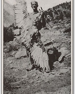 सौ साल पहले कुल्लू और लाहौल, स्पीति के पक्षियों का अध्ययन कर गया अमेरिकी वैज्ञानिक वॉल्टर कोएल्ज़, जुटाये हिमालयी परिंदों के तीस हजार नमूने