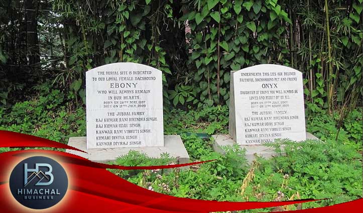 जुब्बल राजघराने के कुत्तों की यादगार के लिए शिमला में बने हैं स्मारक